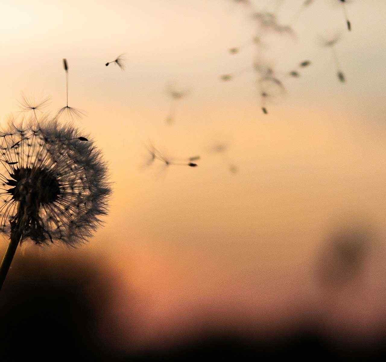 https://mihai.turnkeyitworks.com/wp-content/uploads/2018/09/post_02-1280x1200.jpg